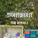 비앤허니벌이랑꿀이랑