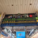 산호횟집 | 속초 중앙시장 횟집 산호횟집 푸짐한 모듬회 소짜 후기