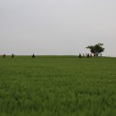 새골농장 이미지