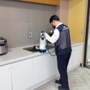 실버넷 동부