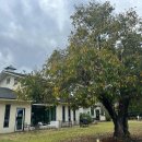 송죽2목장 이미지