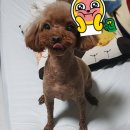 두정상가8길 이미지