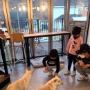 감꽃별아이들 이미지