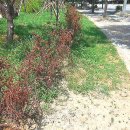 박촌공원 이미지