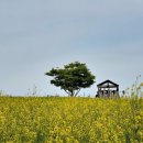 서나라농장 이미지