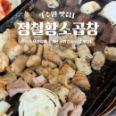 경기도 수원시 권선구 동수원로146번길 300-3 (곡반정동) | 수원 곡반정동 맛집 정철황소곱창 풍자 또간집 추천