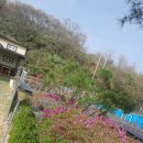 구례펜션 지리산학고을펜션 솔직후기