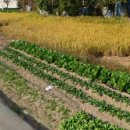 오천지구공인중개사사무소 이미지