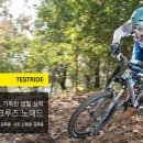 산타 크루즈 이미지