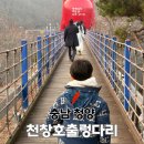 (야간)힐링 타로여행-기초반 | 충남 청양 여행 대표 관광지 천창호 출렁다리 가봐유