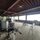 퍼피플리즈 이미지