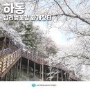 지리산나들이장터 | 경남 벚꽃 명소 하동 화개장터 벚꽃축제 하동 십리벚꽃길