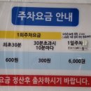 대구 경대북문 꼭 먹어야하는 타르트 카페 타르트에반하다 포장후기