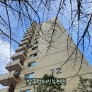 압구정-114 이미지