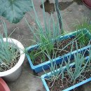 한방클릭 이미지