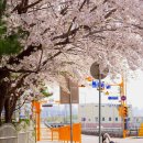 검배공원 이미지