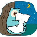 신안실크공인중개사사무소 이미지