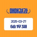 대진케미칼 이미지