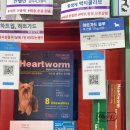 신흥종로약국 이미지