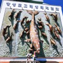 고래생태체험관 화장실 | 울산 아이와 여행 필수 코스! [고래생태체험관] 방문 후기