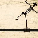 욕망으로부터 이미지