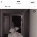 페페(FEFE)