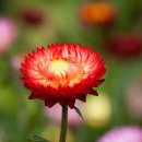 반포대로28길 94 이미지