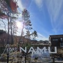 양양 스테이나무 이미지