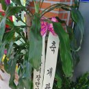 장항경로당 이미지