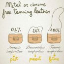 딱딱한 차트가 귀여운 그림과 만났을 때 이미지