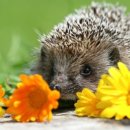 한걸음케어 이미지