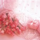 빛과 소금 이미지