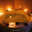 동물카라반펜션 | 동물카라반펜션 직접 가보니 체험형 감성 가득