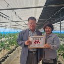 농협 삼도농협 이미지