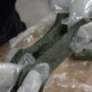 함평참쑥 영농조합법인 | 극한직업 지금이 제철 쑥과 명이나물 _ 전남 함평 쑥떡 쑥설기 쑥인절미 쑥떡집