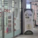티티247