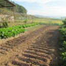 진성농장 이미지