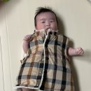 닥스베이비 이미지