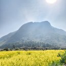 노을과원담민박 이미지