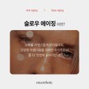슬로우아카데미