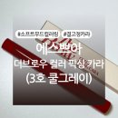 에스쁘아 더브로우 컬러 픽싱 카라 3호 쿨그레이 내돈내산 후기 (+ 색상, 발색사진 有)