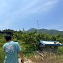 진벌농장 이미지