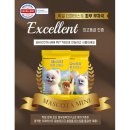 마스코타 펫 이미지