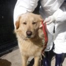 오아시스 민박 이미지