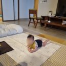 소풍가자82 | 6개월 아기와 2박 3일 강릉 여름휴가🚗 | 라카이샌드파인리조트 • 툇마루 • 갤러리밥스 • 강릉중앙...