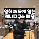 크로플랑 | 영하25도에 입는 캐나다구스 패딩 크로프톤 푸퍼 사이즈 후기