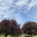 풍경이 머무는 곳 이미지