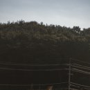 평안골작은도서관 | 최대인원 무려 16명, 부모님과 가족여행으로 추천하는 [대부도 감성 숙소 | 사색사계 후기]