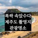 꽃 | 폭싹 속았수다 제주 촬영지 총정리 – 청보리밭부터 메밀꽃 후기