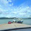 섬사랑 | 신시모도 맛집, 신선한 소라한상으로 푸짐했던 섬사랑굴사랑 후기